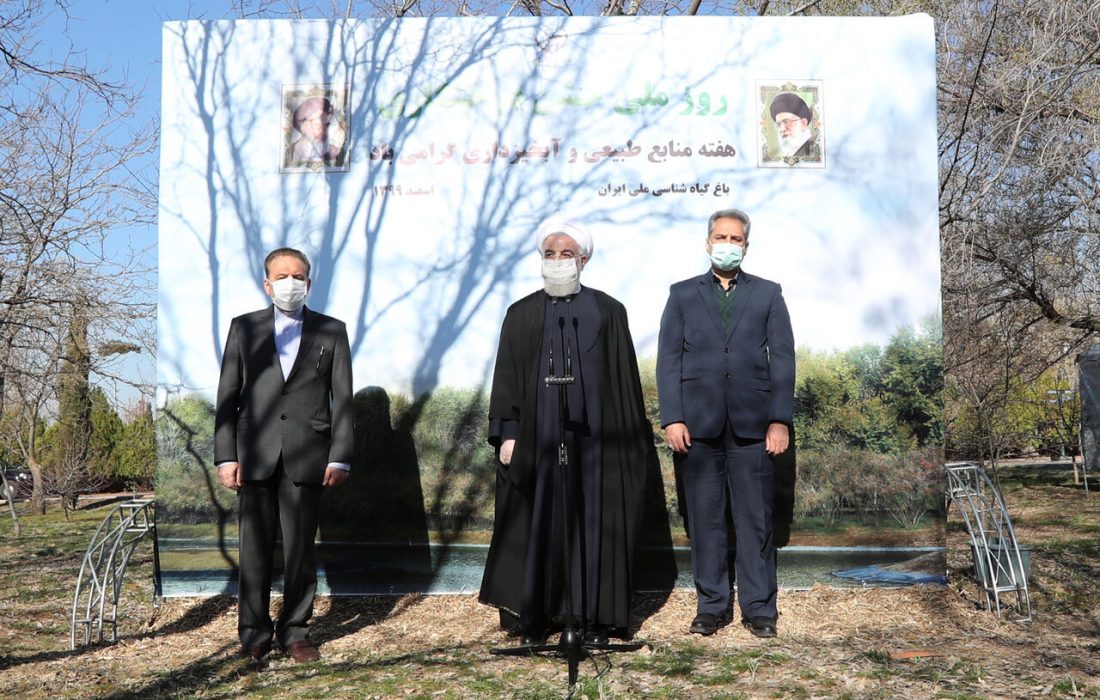 روحانی: حفظ و گسترش درختان و مراتع کشور به معنای امنیت غذایی و ملی است