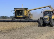 جنگ اوکراین و جهش جهانی قیمت غلات؛ کدام کشورها سود می برند؟