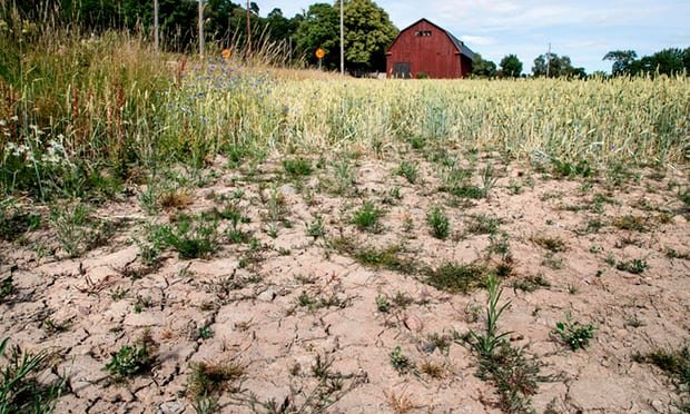 خشکسالی در چین، اروپا و آمریکا: ۲۰۲۲ خشک‌ترین سال ثبت شده بوده است؟