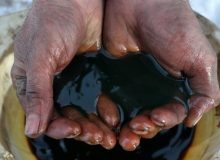 رشد تقاضا برای نفت آهسته‌تر می‌شود