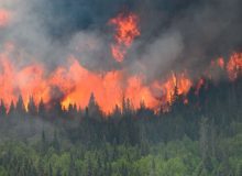 آتش‌سوزی جنگلی در کانادا؛ هزاران نفر از مناطق درگیر فرار کردند