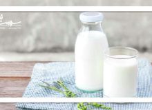 ۵ افسانه نادرست درباره شیر