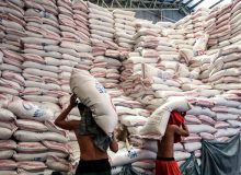 افزایش قیمت برنج در فیلیپین با بیشترین سرعت طی ۱۵ سال گذشته
