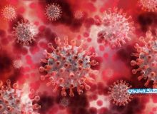 علائم کرونای جهش یافته انگلیسی / روند افزایشی گردش ویروس در کشور