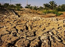 خشکسالی و بی نظمی /کشورهای خاورمیانه و شمال آفریقا خشکیده‌‌اند