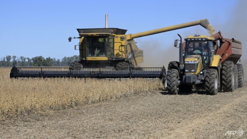 جنگ اوکراین و جهش جهانی قیمت غلات؛ کدام کشورها سود می برند؟