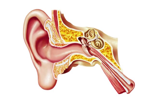 ایربادهایی که بیماری‌های گوش را تشخیص می‌دهند
