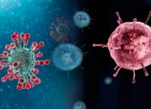 تولید شبه ویروس آنفلوآنزای طیور برای اولین بار در انستیتو پاستور ایران