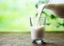 شیر غیرپاستوریزه را چگونه مصرف کنیم تا تب مالت نگیریم