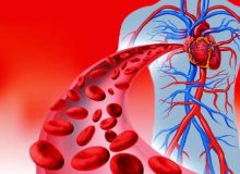 ۹ ماده موثر برای بهبود گردش خون در بدن