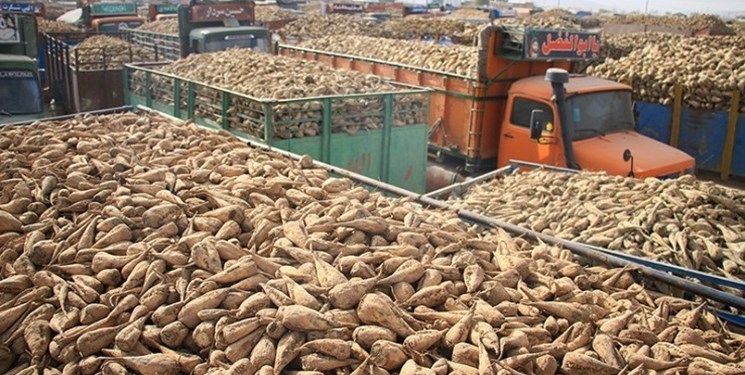 کمبود ظرفیت صنایع مانع خودکفایی در تولید شکر