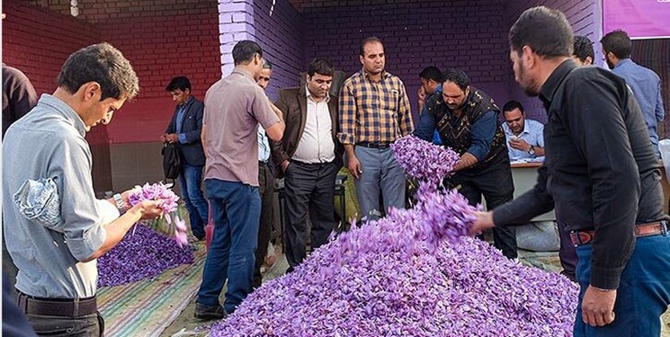 نیمی از ارزش طلای سرخ ایران در جیب عده‌ای خاص