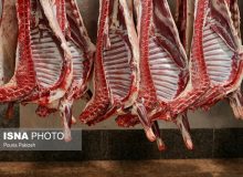 جبران کسری بازار گوشت از محل واردات/ بازار گوشت به ثبات می‌رسد